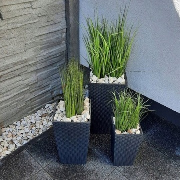 3x БОЛЬШОЙ ЦВЕТОЧНЫЙ ЦВЕТОЧНЫЙ ЦВЕТОК ИЗ РОТАГА