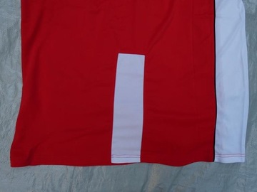 Футболка SPALDING Polska XL