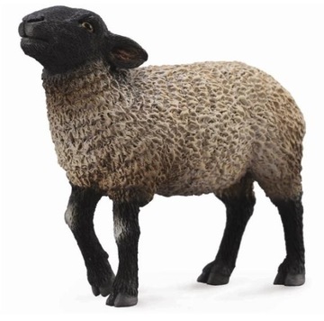 Collecta FIGURKA OWCA SUFFOLK (M) 88636