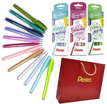 Ручки для каллиграфии PENTEL Sign Pen Brush, 12 пастельных тонов