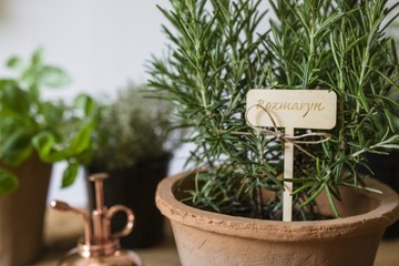 Тег Тег Сад Тег Сад Ваш текст