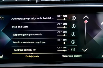  DS Automobiles DS 7 Crossback JASNA SKÓRA masaze, zdjęcie 33