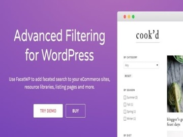 Wtyczka Facet WP