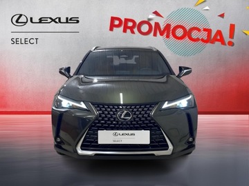 Lexus UX 2024 Lexus UX 300h Business Lexus UX 300h Business+Tech, zdjęcie 5