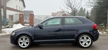 Audi A3 8P Hatchback 3d 1.6 TDI 105KM 2010 Audi A3 3-drzwiowe Audi A3 3-drzwiowe 1.6 TDI DPF Ambition 1.6 Diesel 105KM, zdjęcie 11