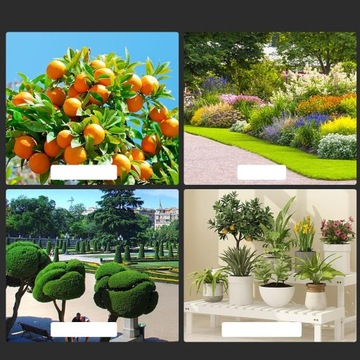 ЭЛЕКТРИЧЕСКИЕ САДОВЫЕ НОЖНИЦЫ, АККУМУЛЯТОРНЫЕ НОЖНИЦЫ ДЛЯ ГРУНТОВКИ ДЕРЕВЬЕВ 21V