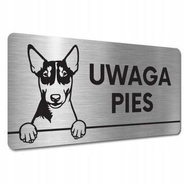 TABLICZKA UWAGA ZŁY PIES Bulterier miniaturowy TABLICZKA UWAGA ZŁY PIES