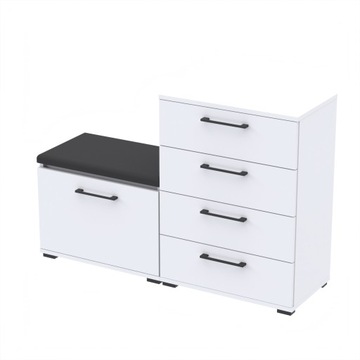 Zestaw 100x30D2Alt szafka na buty z siedziskiem BI
