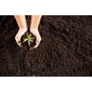 Грунт для лаванды и клематиса Compo Sana 10л перчатки вампира