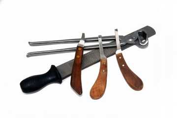 ПРОФЕССИОНАЛЬНЫЙ НАБОР ДЛЯ КОРРЕКЦИИ КОПЫТ С 3 НОЖАМИ