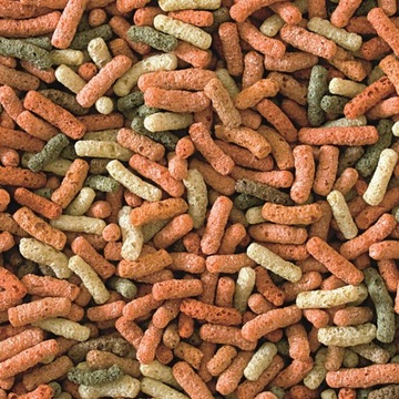 Pokarm dla karpi koi POND STICKS MIXED 1000ml