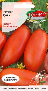 Pomidor gruntowy karłowy Zyska nasiona 0,2g SUPER