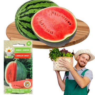 Arbuz Kawon Crimson Sweet Nasiona Arbuza odporne