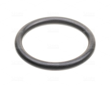 USZCZELKA O-RING KOLEKTORA GAŹNIKA B&S CLASSIC