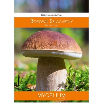 GRZYBNIA BOROWIKA SZLACHETNEGO 60 ML