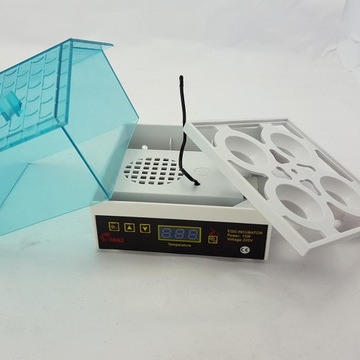 Mini cyfrowy inkubator do jaj przezroczystych Wylęgarnia 4 jaj z wyświetlaczem LCD