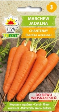 Marchew jadalna CHANTENAY bardzo wczesna Warzywa Marchewka NASIONA