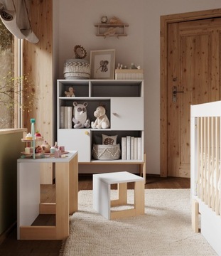 Книжный шкаф Pinio Cube