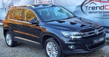 Volkswagen Tiguan I SUV Facelifting 2.0 TDI CR DPF BlueMotion 140KM 2014 Volkswagen Tiguan 2.0 TDI 140 KM Navi Kamera bezwypadkowy oplacony Gwaranc, zdjęcie 13