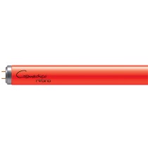 Cosmolux Rubino 160W Гибридные лампы для солярия