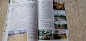 Эксплорер 4 (171) 2013 г.
