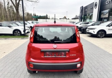 Fiat 2025 Fiat Pandina 1.0 Hybrid Pandina Seria9 ICON 70KM Benzyna 70KM, zdjęcie 4