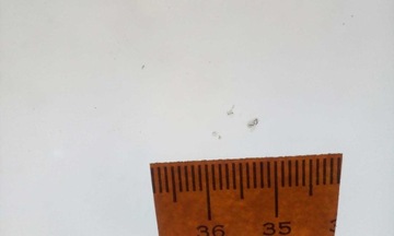 ВЕТРОВОЕ СТЕКЛО MERCEDES W169/W245 2004-2012 ORG