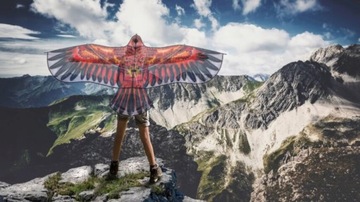 Огромный воздушный змей Eagle 160см + леска