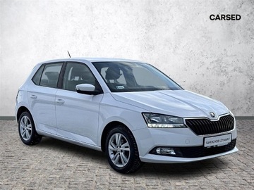 Skoda Fabia III Hatchback Facelifting 1.0 MPI 60KM 2020 Skoda Fabia 1.0MPI 60KM LPG Ambition l Salon Polsk, zdjęcie 30