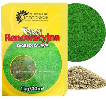 TRAWA K&M RENOWACYJNA 1kg DOSIEWKA NAPRAWA PO PRZYMROZKACH ZAGĘSZCZAJĄCA