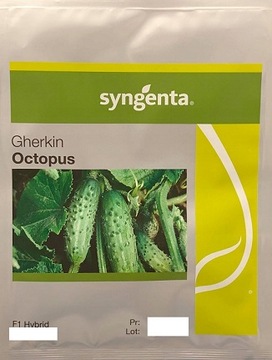 Ogórek OCTOPUS F1 Odporny PLENNY HOLENDERSKI - 5000 Nasion