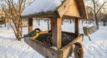 КОРМ ДЛЯ ПТИЦ ИЗ СЕМЯН ЧЕРНОГО ПОДСОЛНЕЧНИКА 5 КГ ПОЛЕЗНЫЙ И ПИТАТЕЛЬНЫЙ ДЛЯ ЗИМЫ