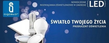 Lampki na drucie 20 LED na baterie ciepłe/zimne