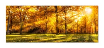 Panel hartowany lacobel grafika 150x60 cm PAN