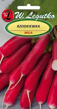 Rzodkwie i rzodkiewki Rzodkiewka Mila nasiona 5 g