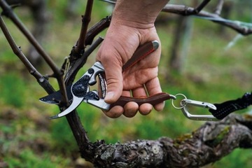 Садовые ножницы FELCO 8 Elite