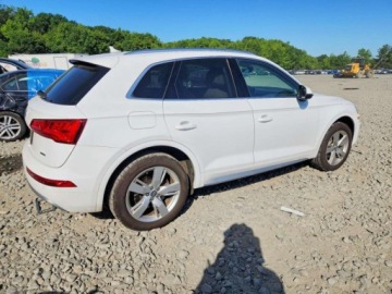 Audi Q5 II SUV 2.0 TFSI 252KM 2019 Audi Q5 2019 AUDI Q5 PREMIUM PLUS 2.0 Benzyna 252KM, zdjęcie 2