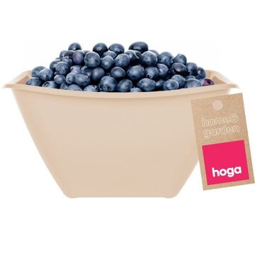 MISECZKA MISKA SALATERKA KUCHENNA PLASTIKOWA DO ŻYWNOŚCI 1,9L 20cm BEŻOWA