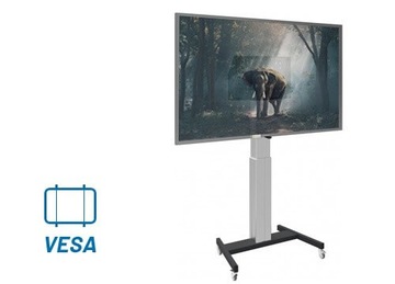 Интерактивный монитор iiyama ProLite TE5512MIS с диагональю 55 дюймов