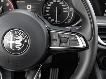Alfa Romeo Stelvio SUV Facelifting 2.0 Turbo 200KM 2021 Alfa Romeo Stelvio WD4400S#2.0 Turbo TI Q4, zdjęcie 16