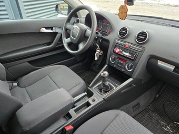 Audi A3 8P Hatchback 3d 1.9 TDI 105KM 2006 Audi A3 3-drzwiowe 1.9 TDI Ambiente nowe sprzęgło + koło dwumasowe, zdjęcie 11
