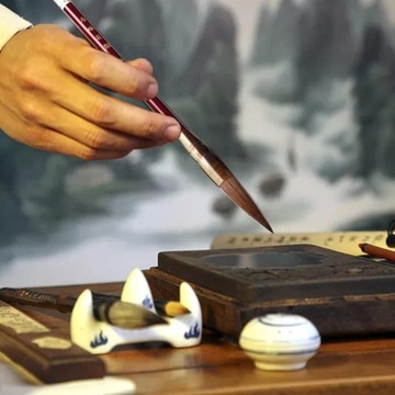 Набор кистей для китайской каллиграфии Цветные чернила для рисования Художественное письмо 11 шт.