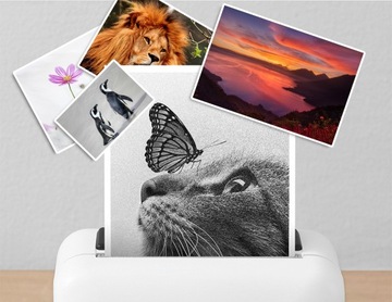 5x ЧЕРНИЛ ДЛЯ EPSON 202XL XP6000 XP 6005 XP 6100 XP 6105