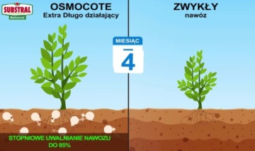 СУБСТРАЛЬНЫЙ ОСМОКОТ 2в1 ДЛЯ САДА 1,25кг САДОВОЕ УДОБРЕНИЕ