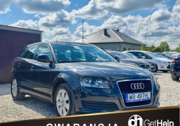 Audi A3 8P Hatchback 3d 1.6 102KM 2008 Audi A3 Sportback 1.6 MPI 102KM skory PDC cliamtronic tempoamt alu grzane
