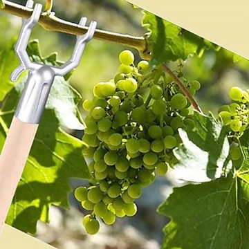Металлические опоры для веток фруктовых деревьев 8 шт.