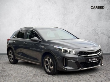 Kia XCeed Crossover Facelifting 1.5 T-GDi 160KM 2023 Kia XCeed M Automat 1.5T-GDI 160KM, Kamera cofania, zdjęcie 6