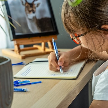 ЭКСПОЛИтура синих ручек: установка с картриджами и аксессуарами
