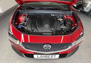 Mazda CX-30 2.0 Skyactiv-X 180KM 2020 Mazda CX-30 2.0 180 KM SKYACTIV-X M Hybrid 4x4 Gwarancja Bezwypadkowy Ser, zdjęcie 23