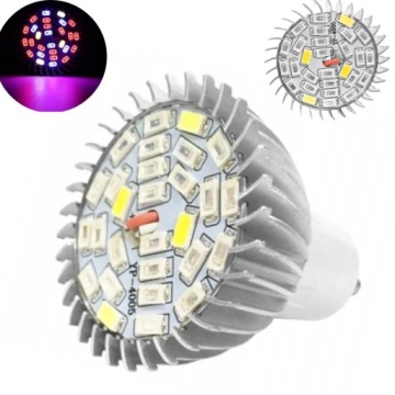 ŻARÓWKA DO WZROSTU UPRAWY ROŚLIN GU10 28x LED